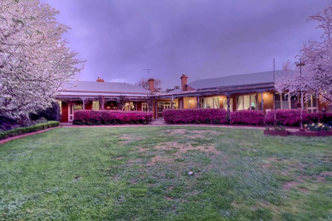 Twelve On Albert Beechworth Exterior foto